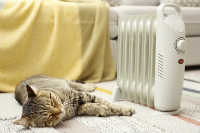 Cute tabby cat near electric heater at home