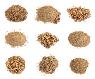 Image of Set with coriander seeds and powder on white background