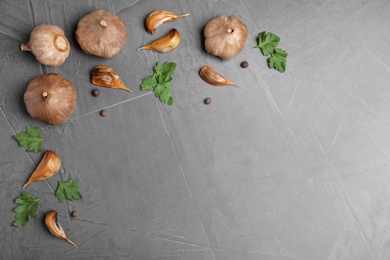 Flat lay composition with aged black garlic and parsley on gray background. Space for text