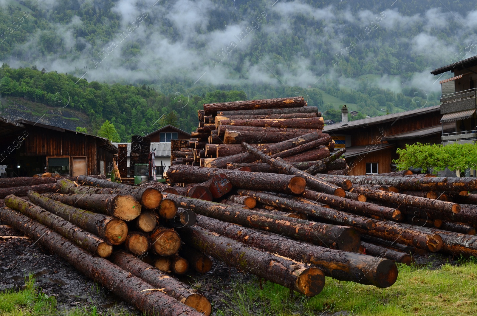 Photo of Pile of logs in yard near mountains