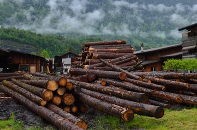 Photo of Pile of logs in yard near mountains