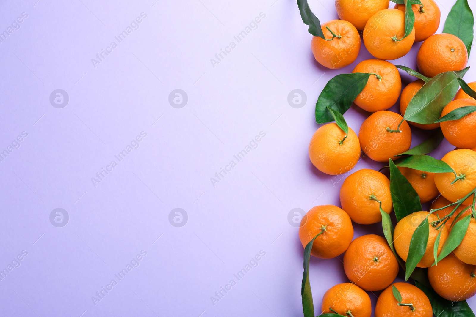 Photo of Fresh ripe tangerines with green leaves on lilac background, flat lay. Space for text