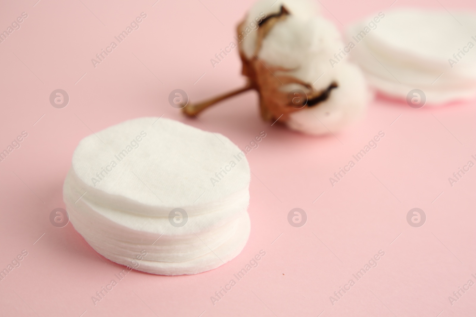 Photo of Cotton pads and flower on pink background, closeup