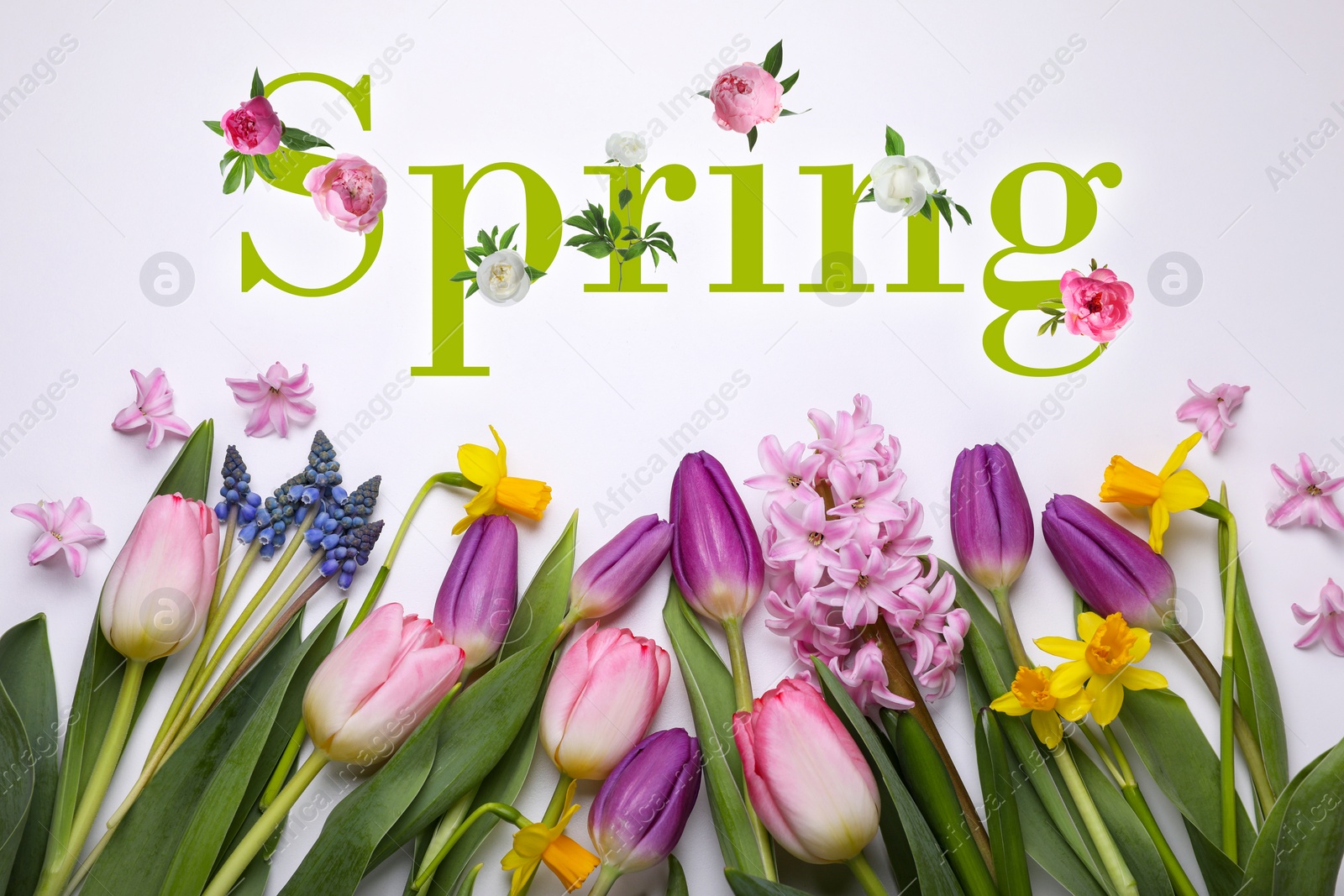 Image of Spring card design with beautiful flowers on white background, flat lay