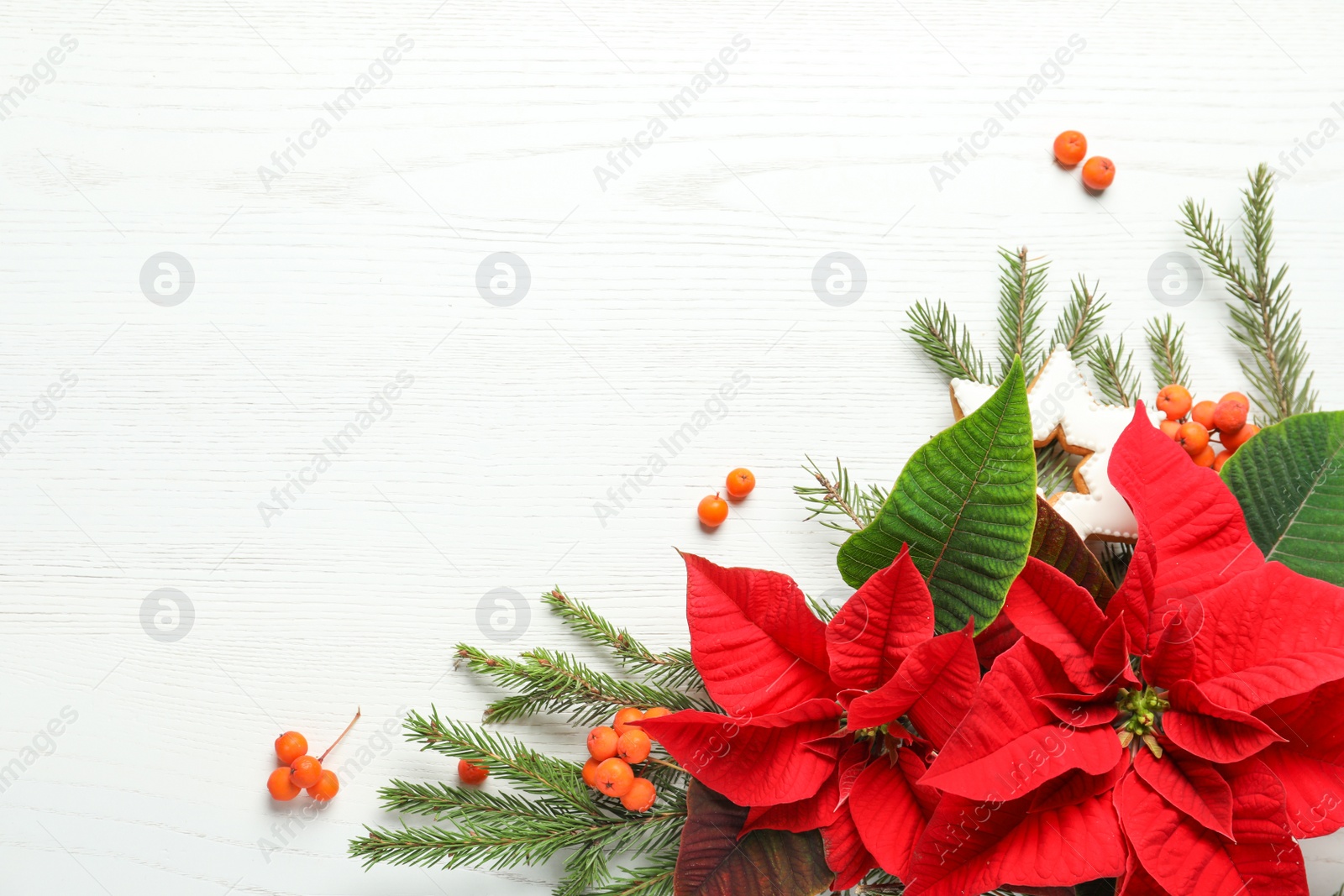 Photo of Flat lay composition with poinsettias (traditional Christmas flowers) and fir branches on white wooden table. Space for text