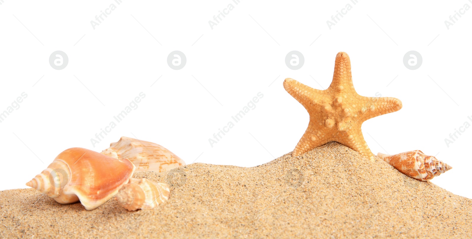 Photo of Beautiful sea star, shells and sand isolated on white