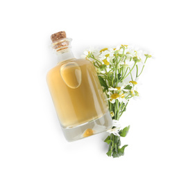 Photo of Bottle of essential oil and fresh chamomiles isolated on white, top view
