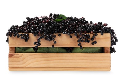 Photo of Crate with ripe elderberries and green leaves isolated on white