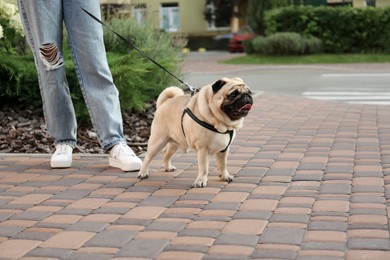 Photo of Woman walking with her cute pug outdoors, closeup