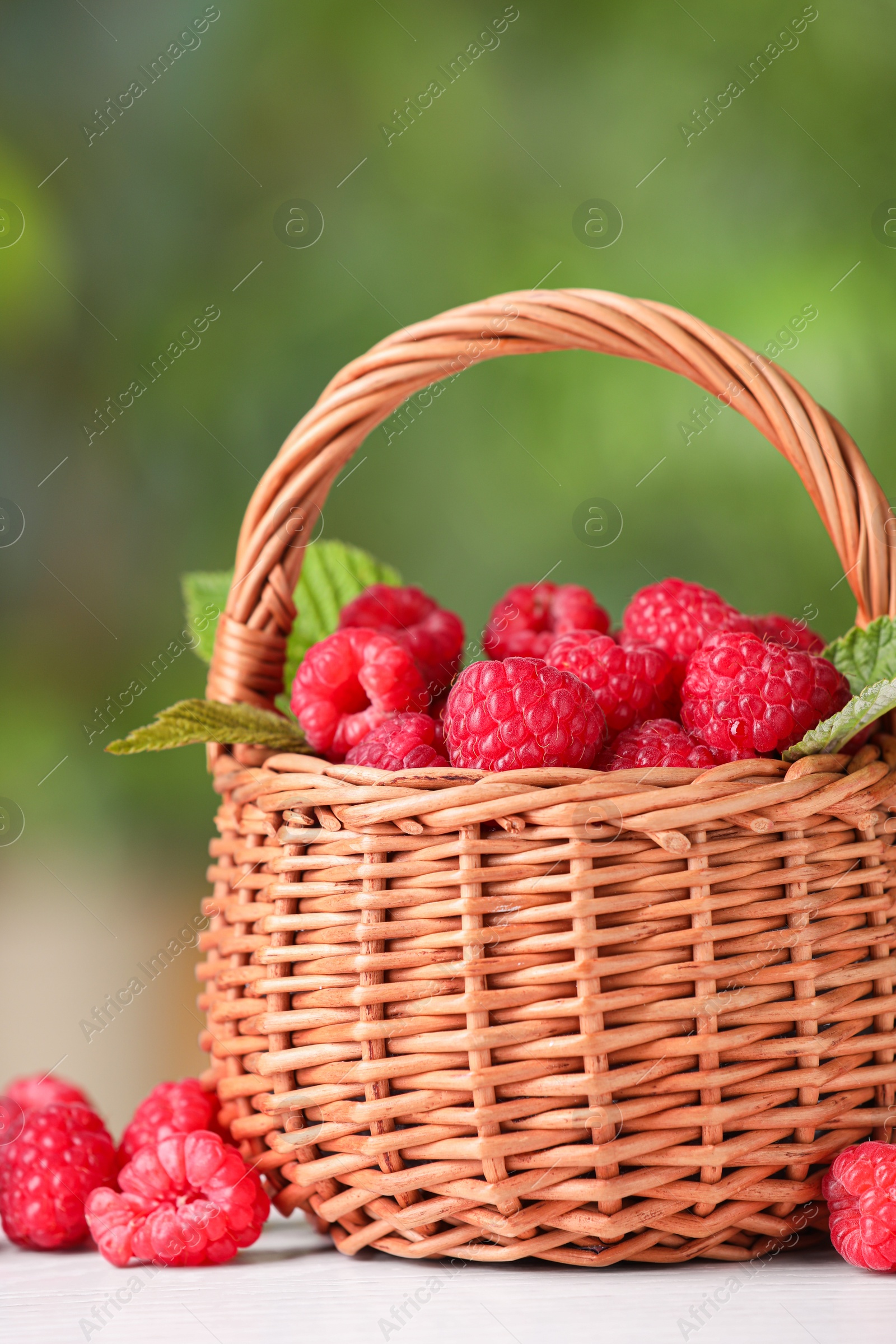 Photo of Wicker basket with tasty ripe raspberries and leaves on white table against blurred green background