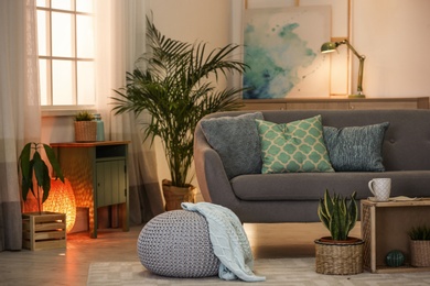 Living room interior with green houseplants and sofa