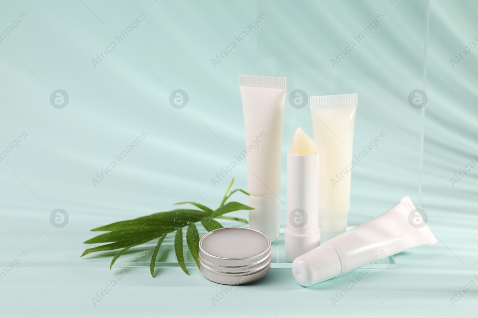 Photo of Different lip balms and palm leaf on light blue background