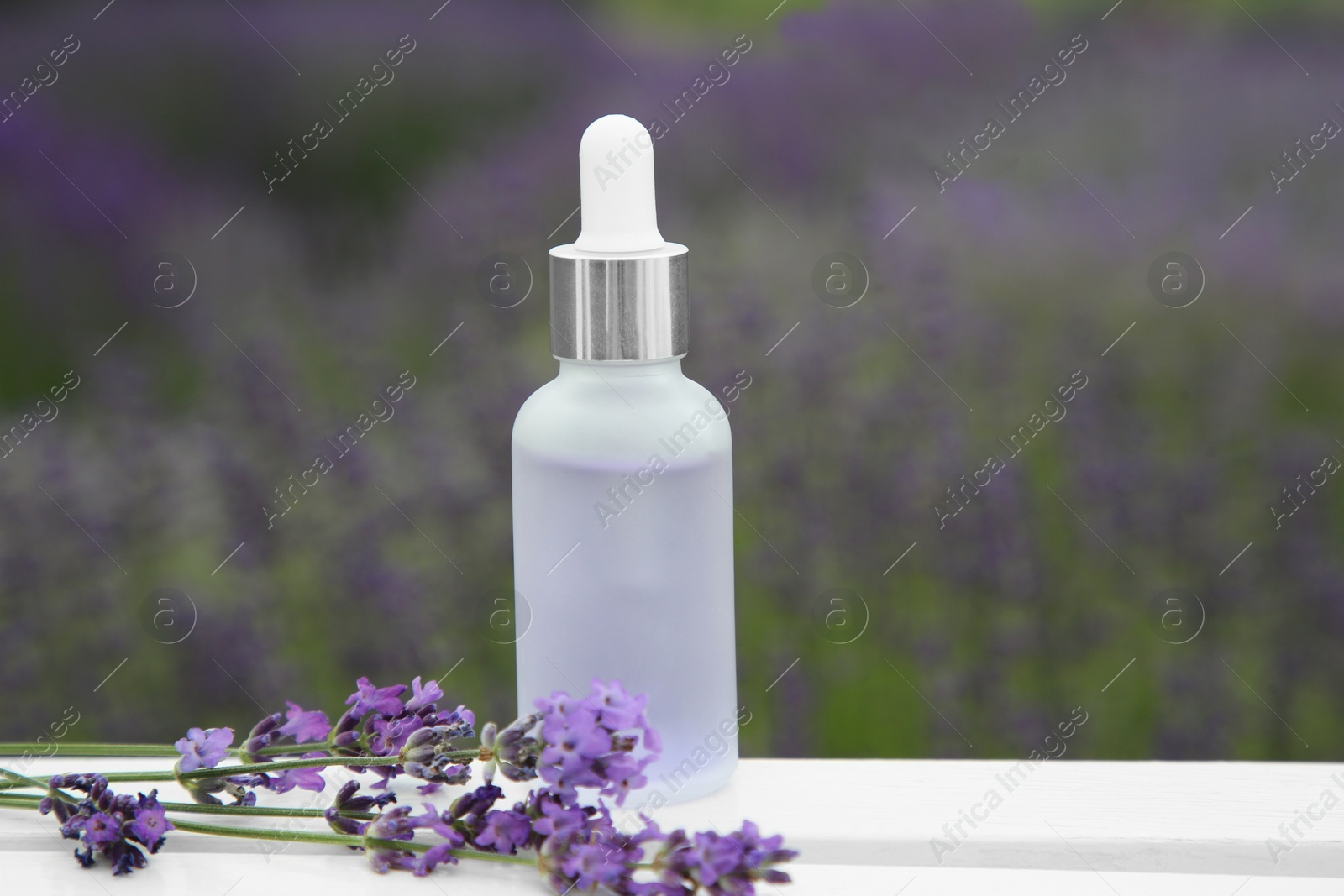 Photo of Bottle of essential oil and lavender flowers on white wooden table in field