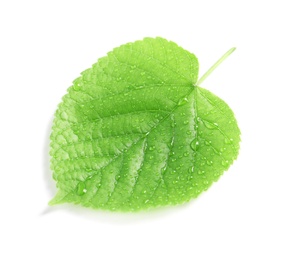 Photo of Green leaf with dew on white background