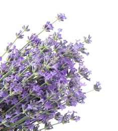 Photo of Beautiful tender lavender flowers on white background