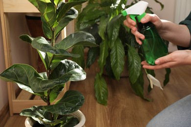Photo of Woman spraying beautiful house plants with water indoors, closeup