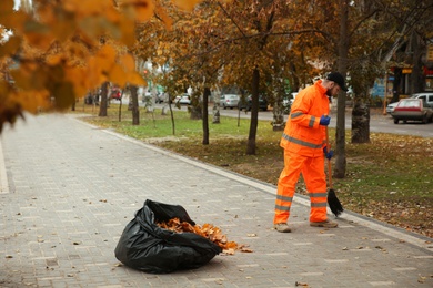 Photo of Street cleaner sweeping fallen leaves outdoors on autumn day