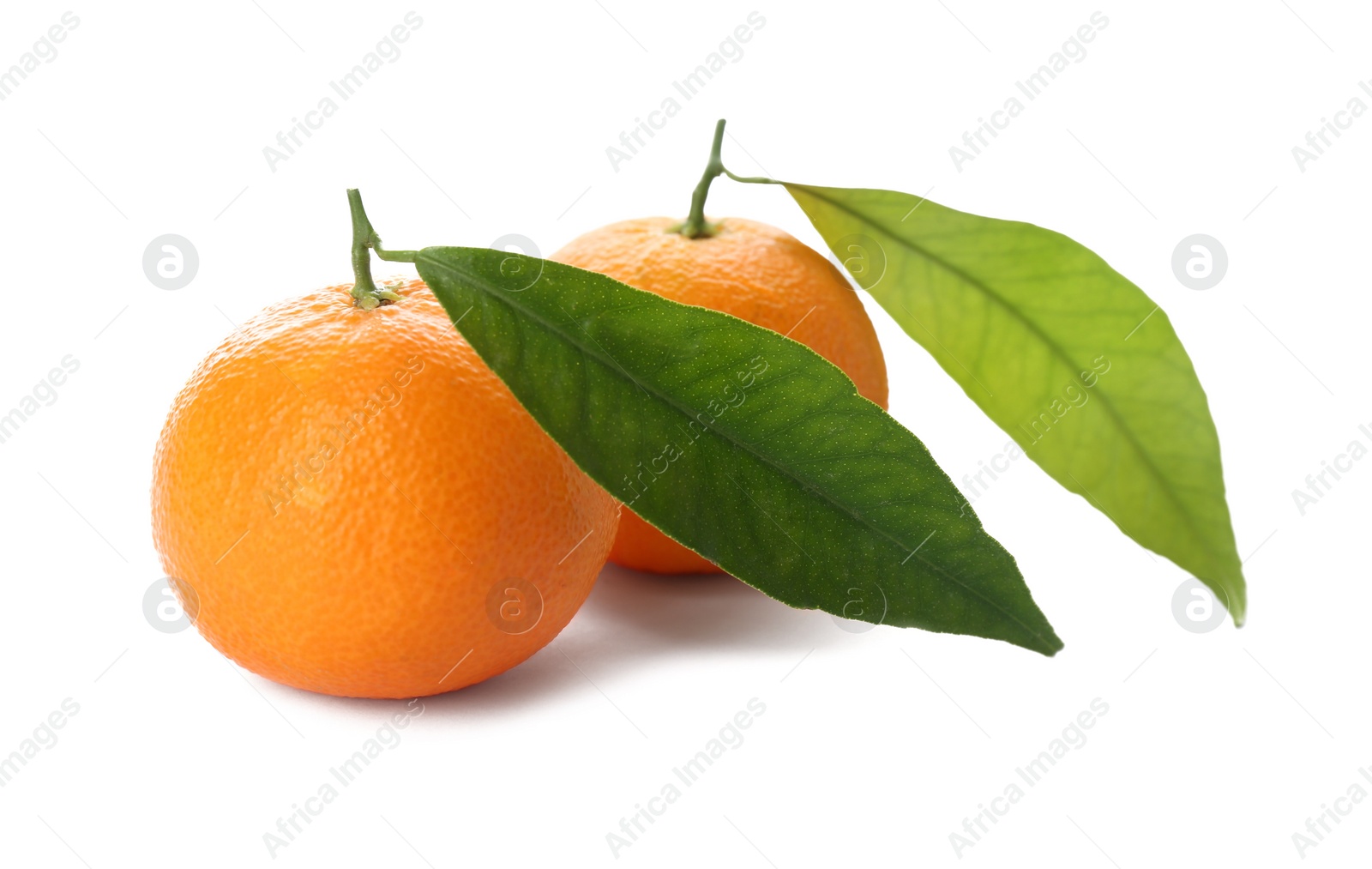 Photo of Whole fresh tangerines with green leaves on white background