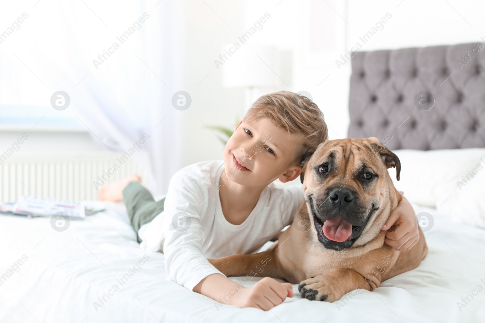Photo of Cute little child with his dog resting on bed at home