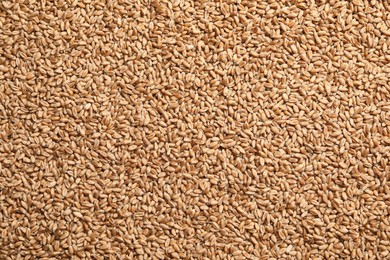 Heap of wheat grains as background, top view