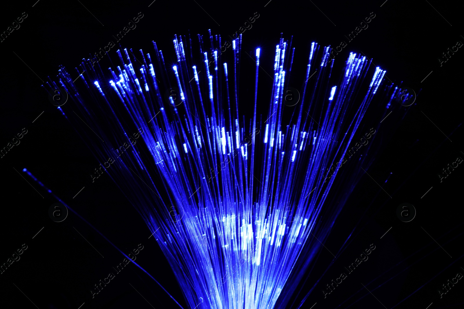 Photo of Optical fiber strands transmitting blue light on black background