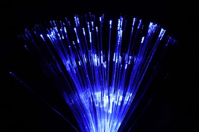 Photo of Optical fiber strands transmitting blue light on black background