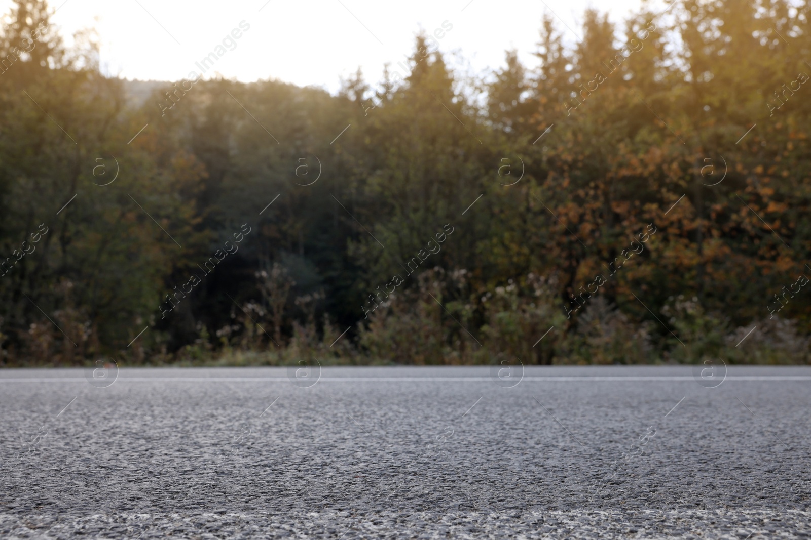 Photo of Beautiful view of asphalt highway without transport near coniferous forest. Autumn season