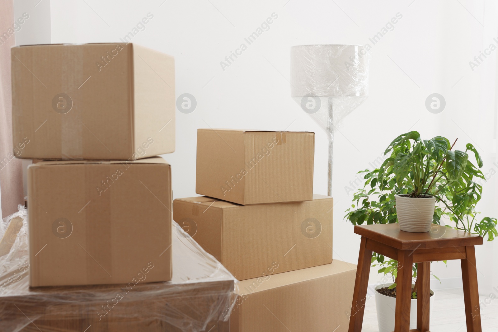 Photo of Lamp wrapped in stretch film, boxes and houseplant indoors