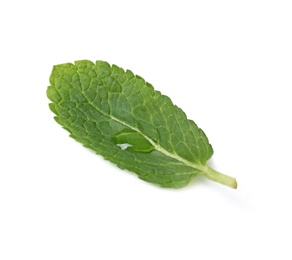 Photo of Wet leaf of fresh mint isolated on white