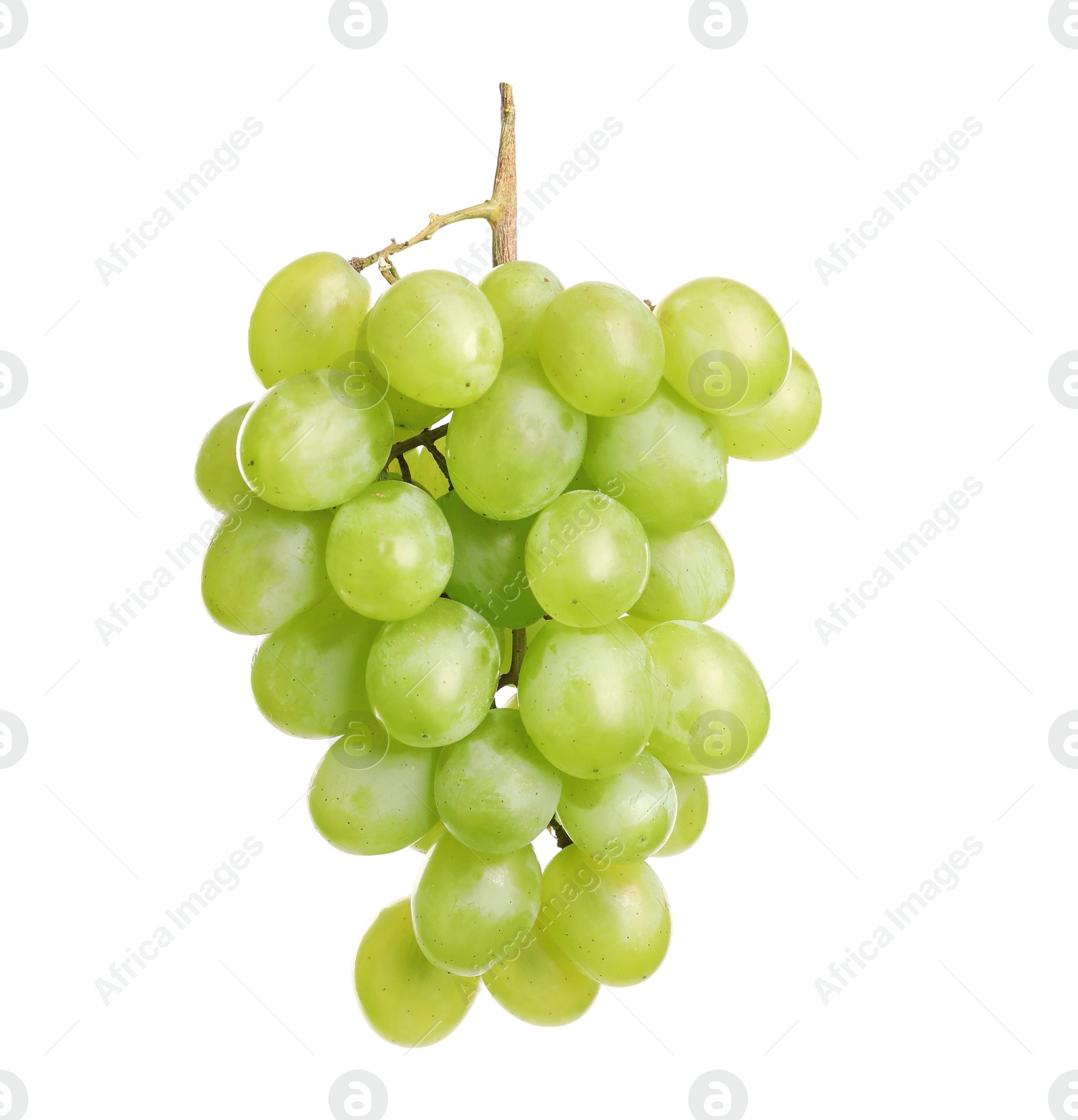 Photo of Bunch of green fresh ripe juicy grapes isolated on white