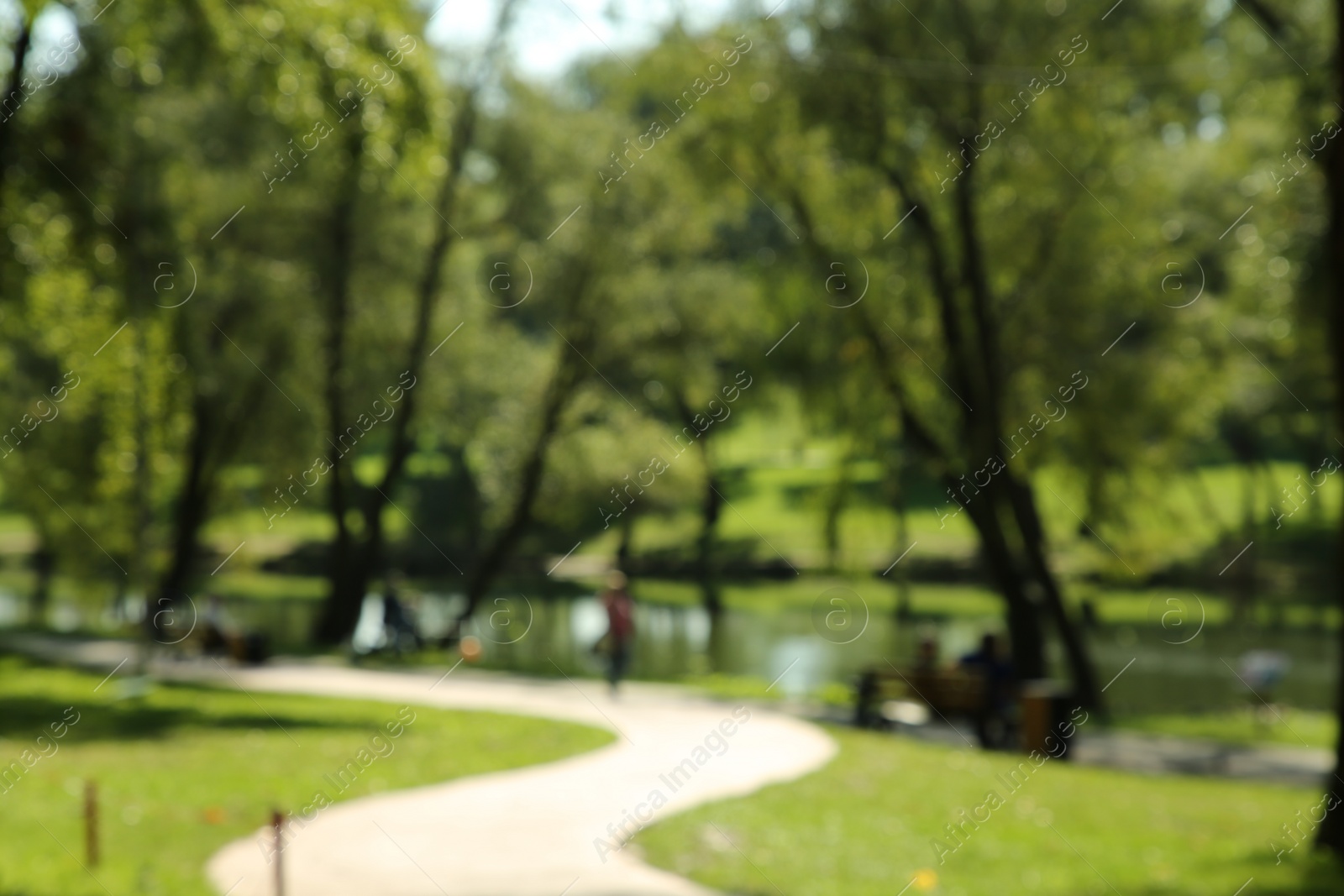 Photo of Blurred view of quiet park with green trees and pond on sunny day