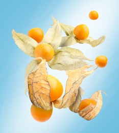 Image of Ripe orange physalis fruits with calyx falling on light blue gradient background