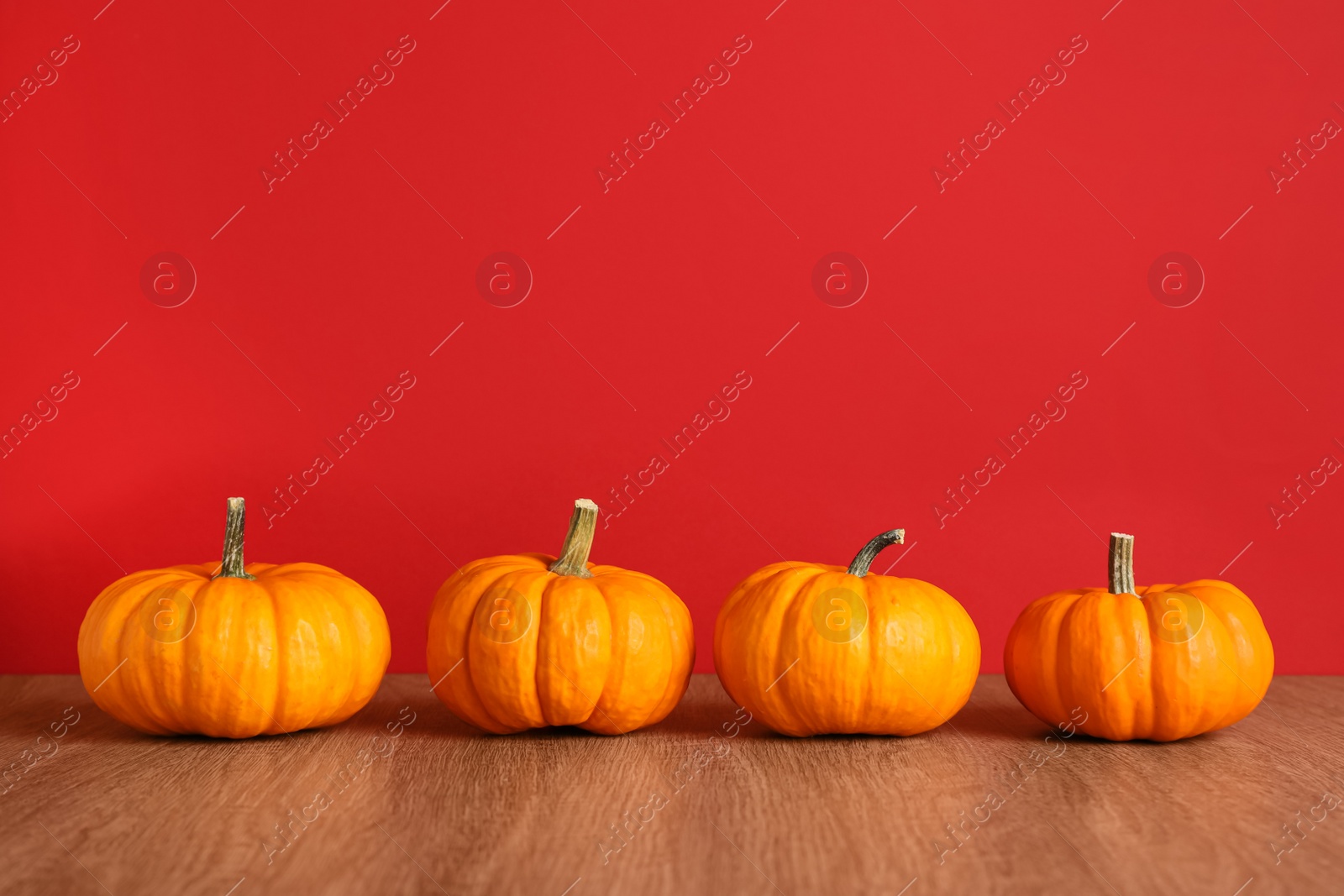 Photo of Fresh ripe pumpkins on wooden table against red background, space for text