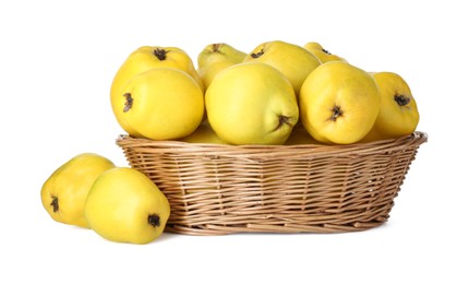 Basket with delicious fresh ripe quinces isolated on white