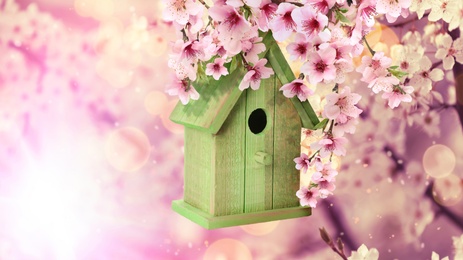 Beautiful wooden bird house hanging on blossoming tree outdoors, banner design. Springtime