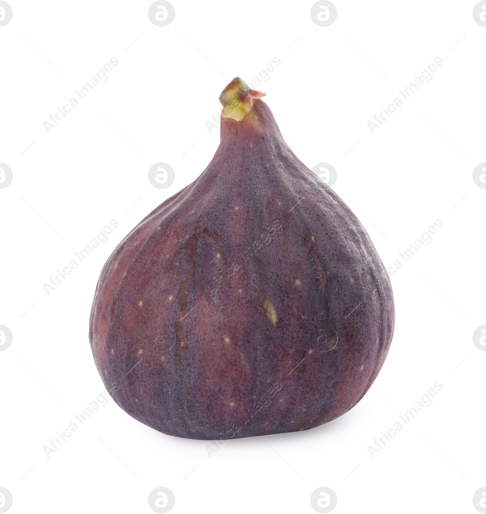 Photo of Whole tasty fresh fig isolated on white