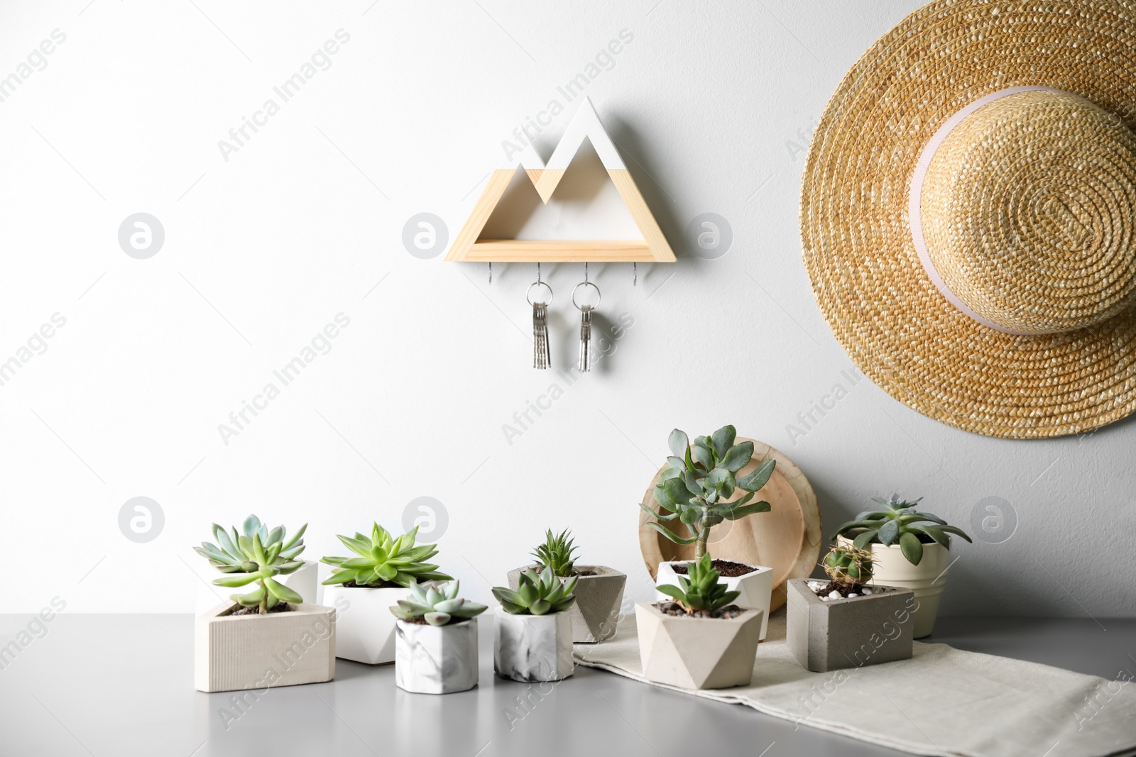 Photo of Beautiful succulents on grey table. Interior decoration