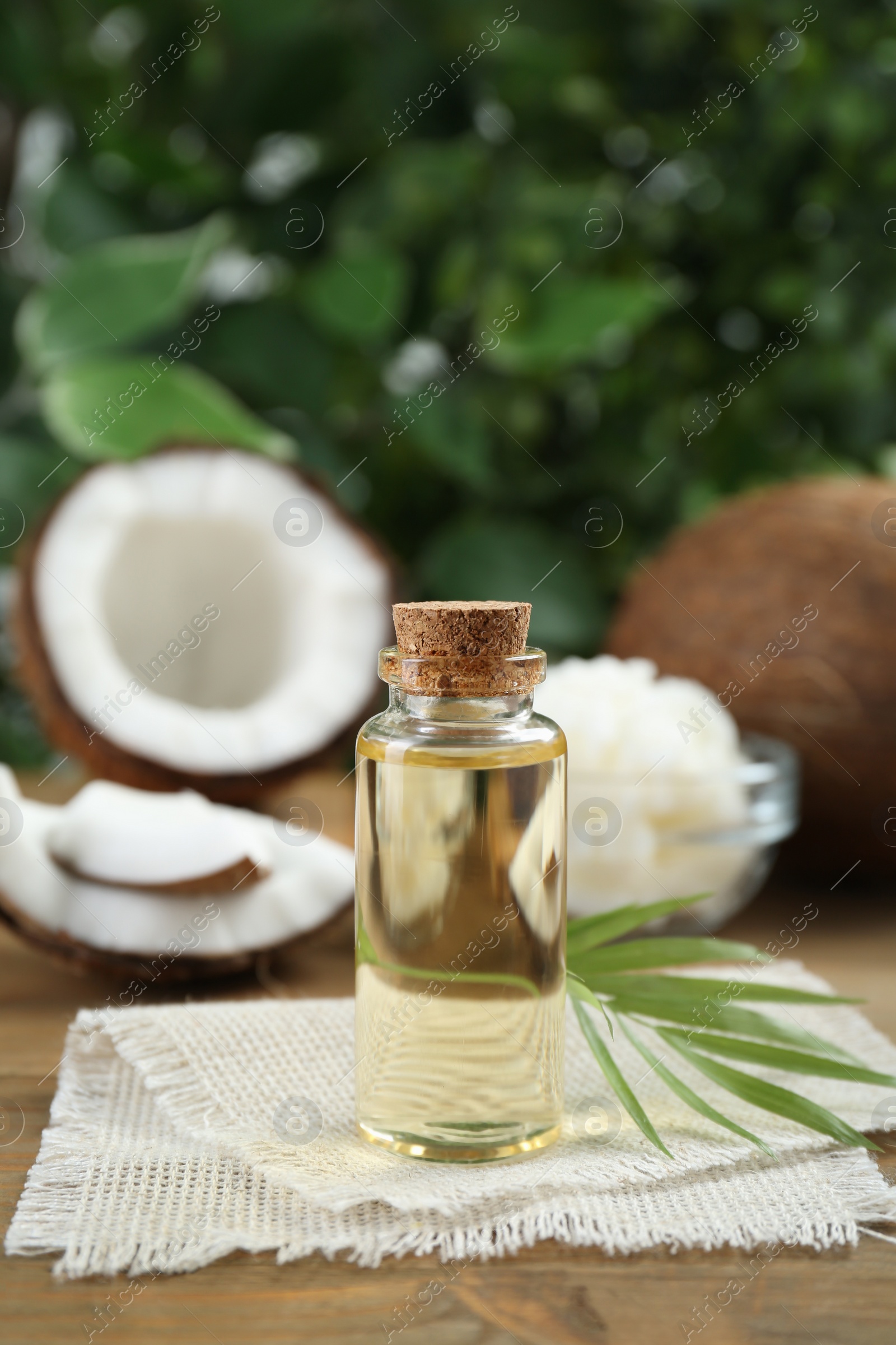 Photo of Bottle of organic coconut cooking oil and leaf on wooden table