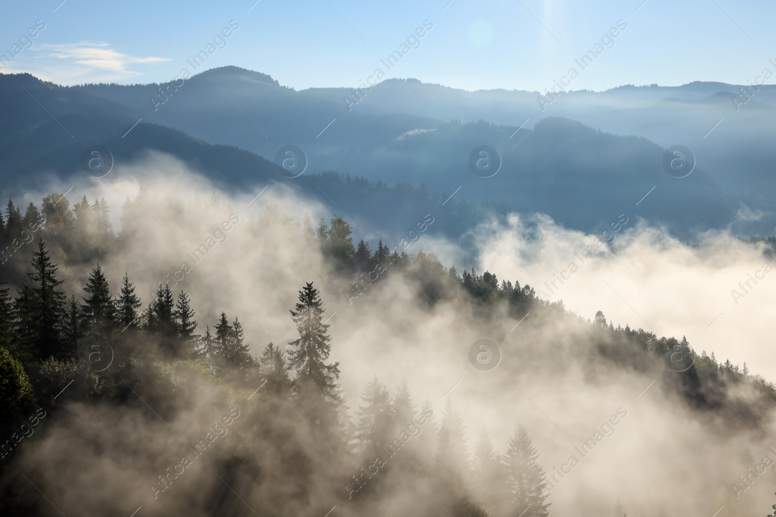 Photo of Picturesque view foggy forest in mountains on morning