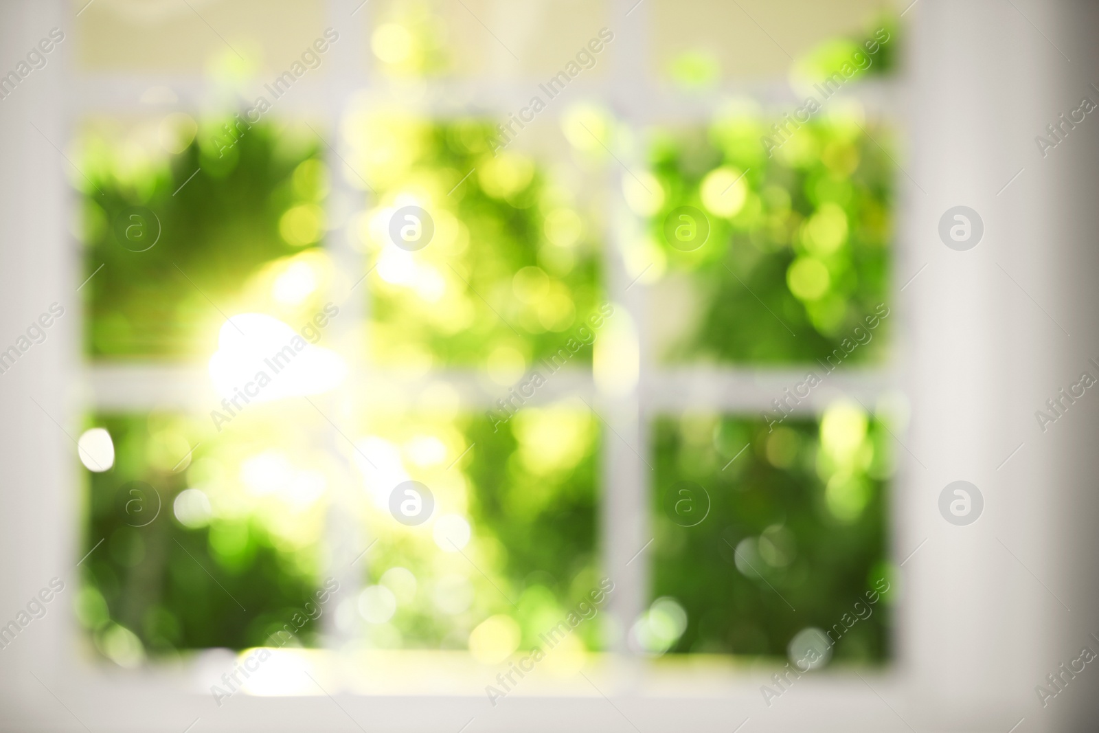 Photo of Blurred view through window on garden in morning