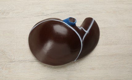 Photo of Model of liver on white wooden table, top view