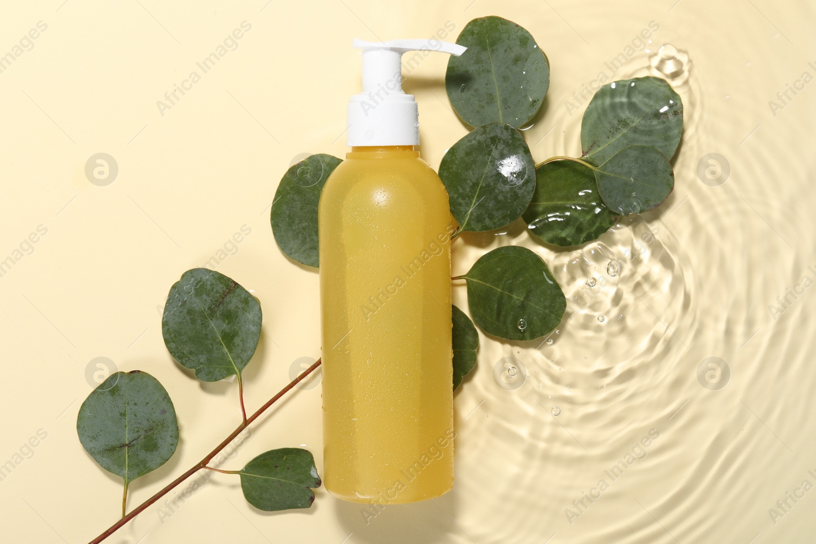 Photo of Bottle of face cleansing product and fresh leaves in water against beige background, flat lay