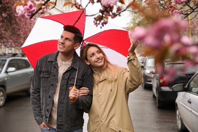 Photo of Lovely couple with umbrella walking on spring day