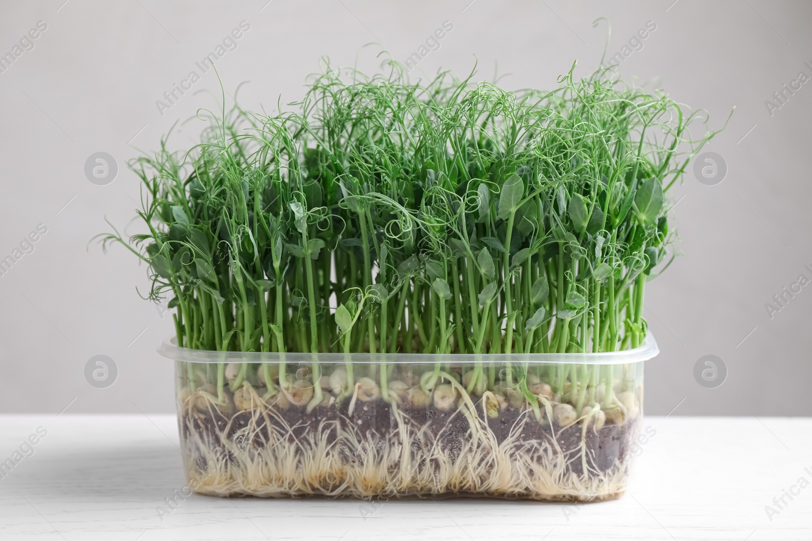 Photo of Fresh organic microgreen in plastic container on white table