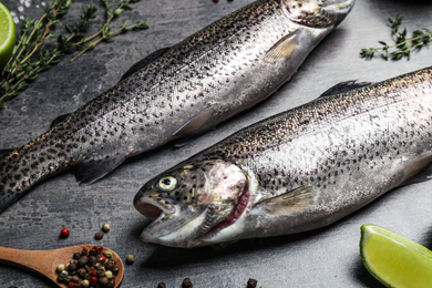 Photo of Raw cutthroat trout fish on grey table, closeup