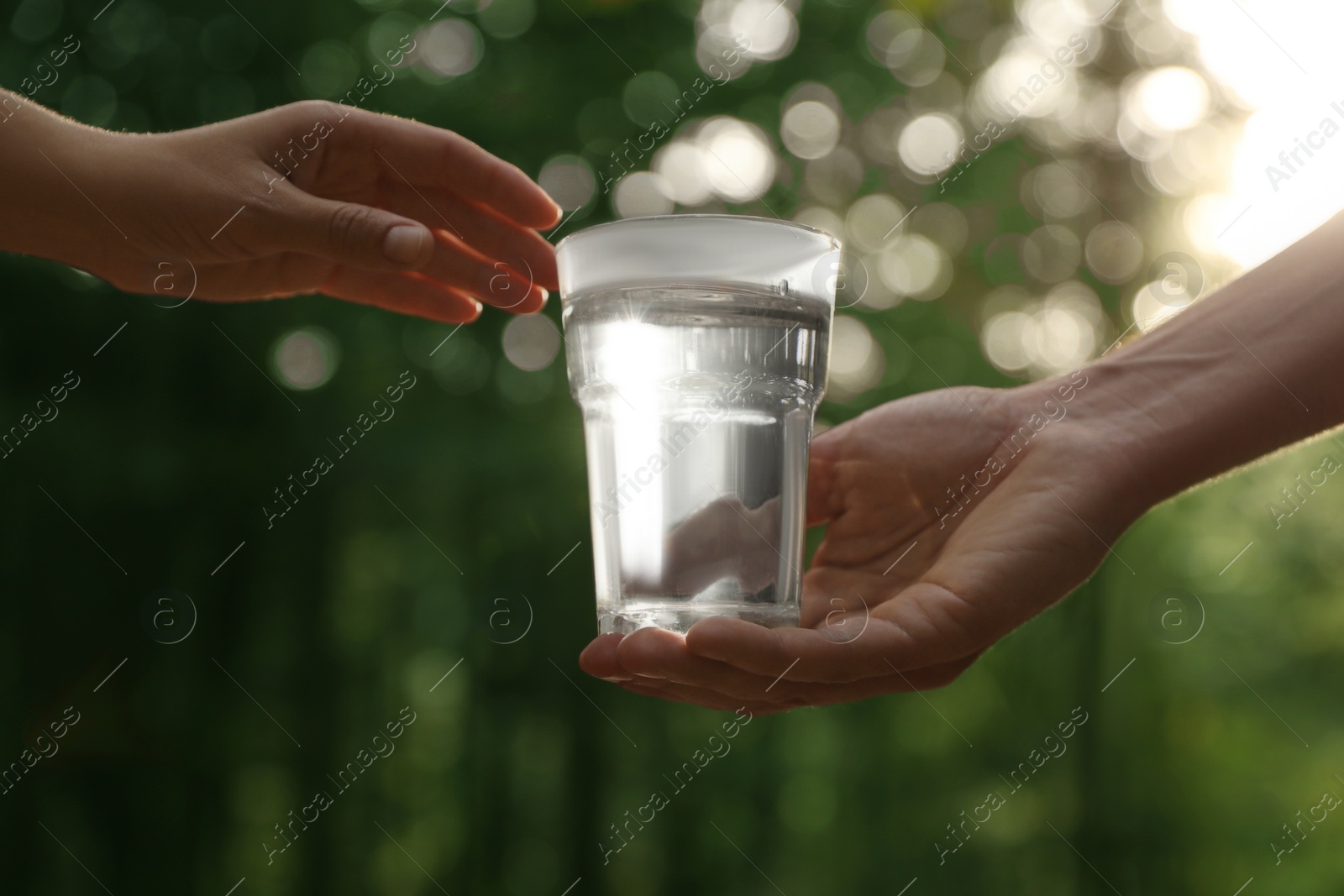 Photo of Man giving woman glass of fresh water in forest on sunny day, closeup