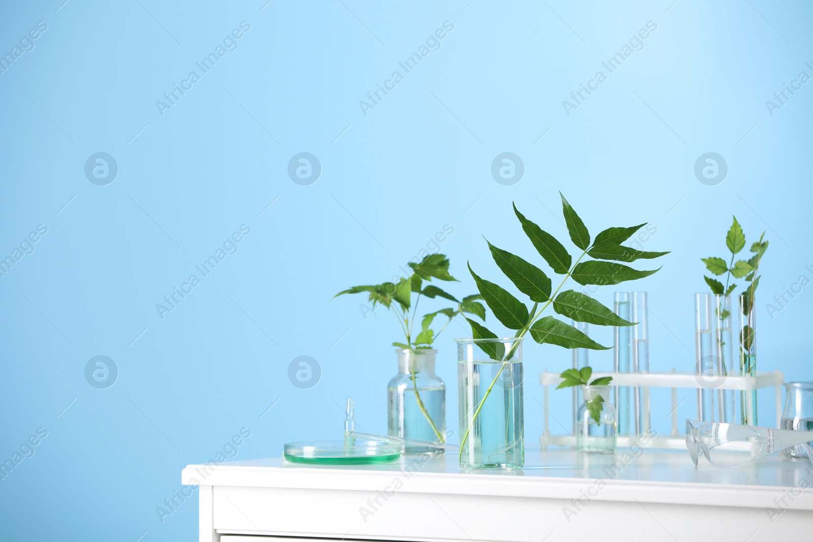 Photo of Laboratory glassware with plants on white table, space for text