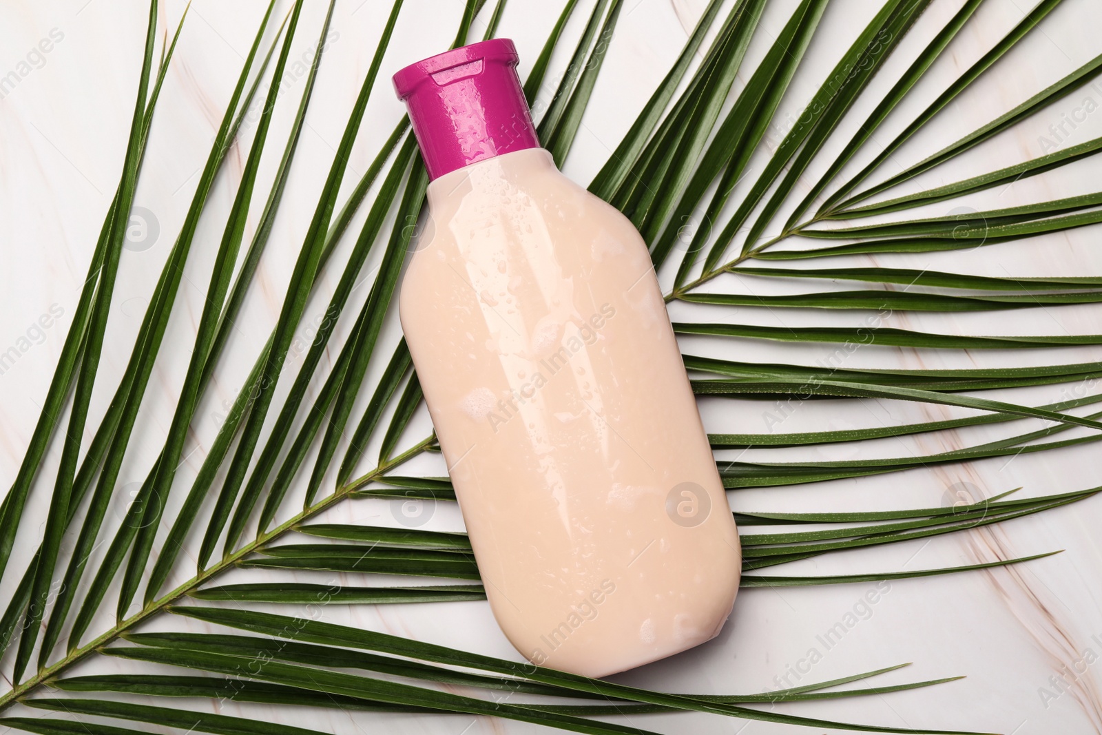 Photo of Wet shampoo bottle and green leaf on white marble table, flat lay