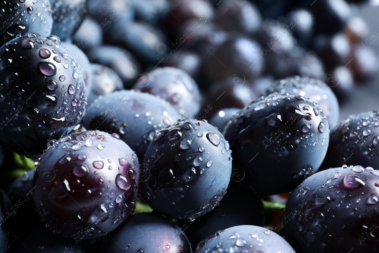 Photo of Bunch of fresh ripe juicy grapes as background. Closeup view