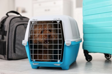 Photo of Travel with pet. Cute dog in carrier, backpack and suitcase indoors